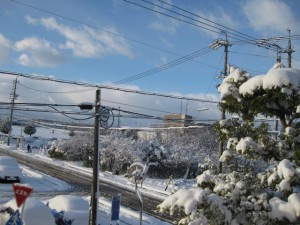 稲沢市の雪