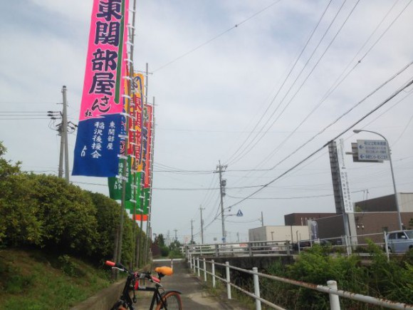稲沢市に東関部屋の旗が次々と！！大相撲名古屋場所が近づいてきました！